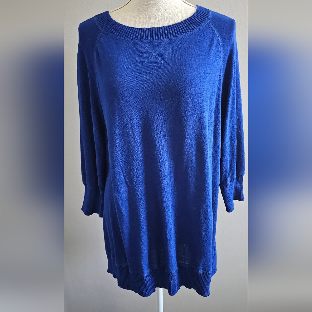 Adrienne Vittadini Blue Women's Sweater